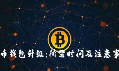 数字货币钱包升级:所需时间及注意事项详解