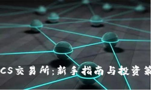 BTCS交易所:新手指南与投资策略