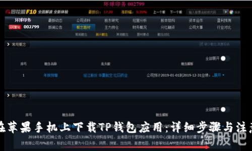 如何在苹果手机上下载TP钱包应用:详细步骤与注意事项