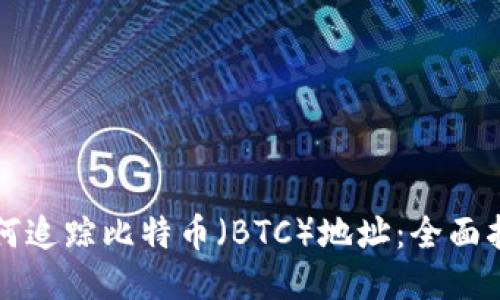 如何追踪比特币(BTC)地址:全面指南
