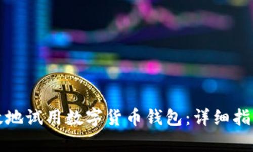 如何安全有效地试用数字货币钱包：详细指南与实用技巧
