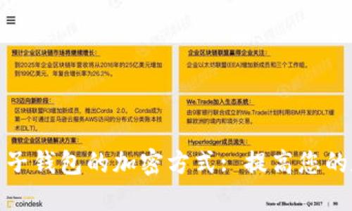 如何安全设置电子钱包的加密方式: 提高您的数字资产安全性