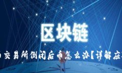 虚拟币交易所倒闭后币怎