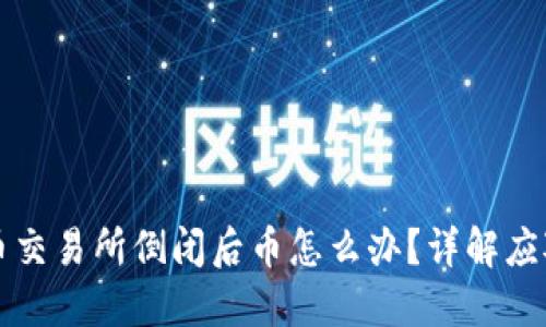 虚拟币交易所倒闭后币怎么办?详解应对策略