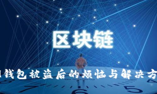 IM钱包被盗后的烦恼与解决方案
