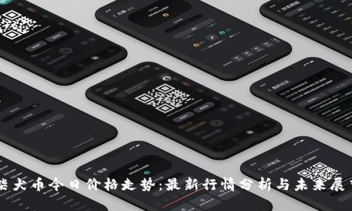 柴犬币今日价格走势：最新行情分析与未来展望