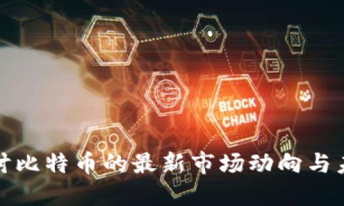 深入探讨比特币的最新市场动向与未来趋势