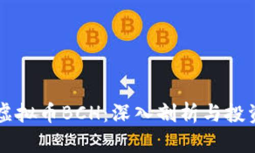 关于虚拟币BCH：深入剖析与投资前景