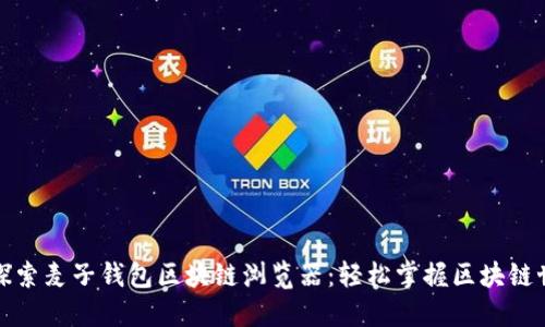 全面深入探索麦子钱包区块链浏览器:轻松掌握区块链世界的钥匙