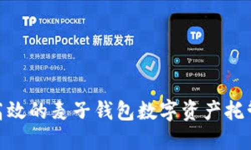 安全高效的麦子钱包数字资产托管服务