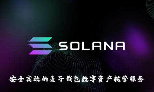 安全高效的麦子钱包数字资产托管服务