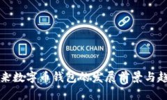 未来数字币钱包的发展前