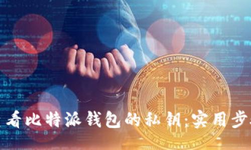 dialogue
如何轻松查看比特派钱包的私钥:实用步骤与小贴士