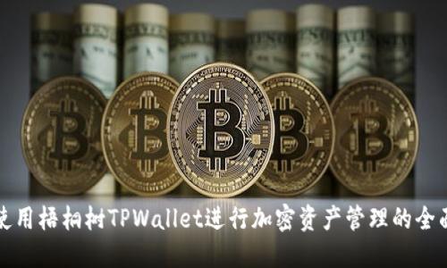 如何使用梧桐树TPWallet进行加密资产管理的全面指南