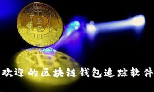 最受欢迎的区块链钱包追踪软件推荐