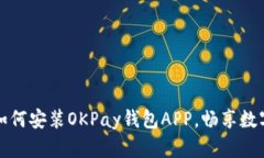 全面解析如何安装OKPay钱包
