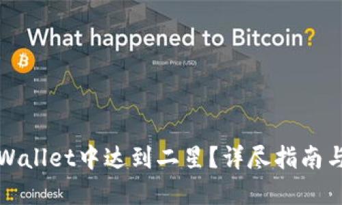 如何在TPWallet中达到二星?详尽指南与实用技巧