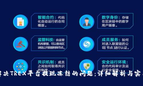 如何解决TREX平台提现冻结的问题：详细解析与实用建议