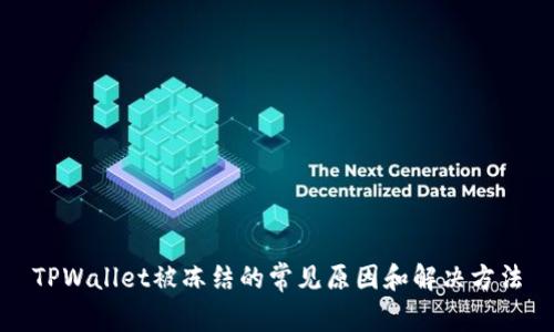 TPWallet被冻结的常见原因和解决方法