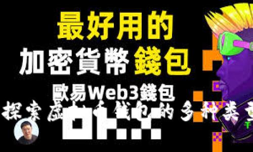 全面解析：探索虚拟币钱包的多种类型及其特点