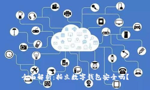 全面解析：拍立数字钱包安全吗？
