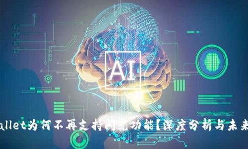TPWallet为何不再支持闪兑功能?深度分析与未来展望
