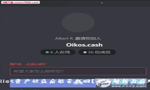 TPWallet资产被盗后能否找回?全面解析与应对方案