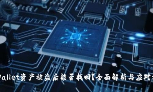 TPWallet资产被盗后能否找回?全面解析与应对方案