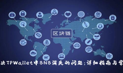 如何解决TPWallet中BNB消失的问题:详细指南与常见疑问