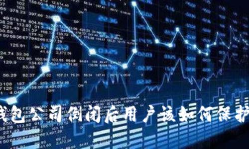 加密钱包公司倒闭后用户该如何保护资产？