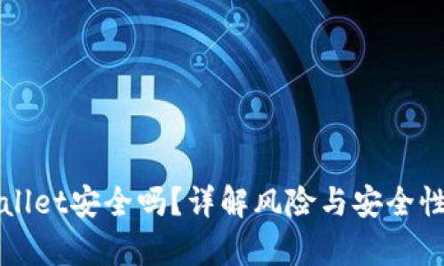 TPWallet安全吗？详解风险与安全性分析