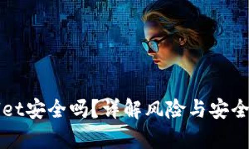 TPWallet安全吗？详解风险与安全性分析