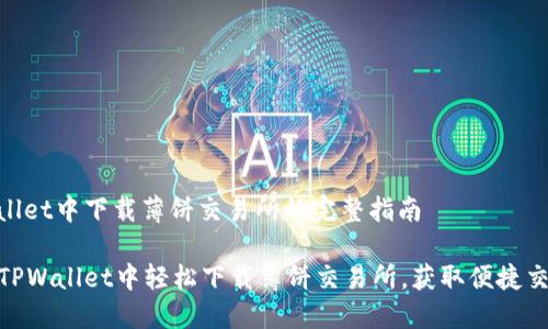 在tpwallet中下载薄饼交易所的完整指南

如何在TPWallet中轻松下载薄饼交易所，获取便捷交易体验