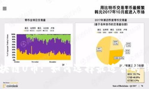 区块链U币: 如何选择最适合的钱包