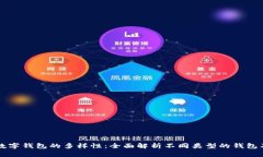 区块链数字钱包的多样性