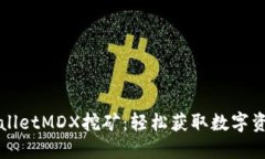 深入探索TPWalletMDX挖矿：轻