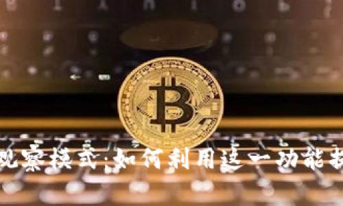 探索TPWallet的观察模式:如何利用这一功能提升资产管理体验