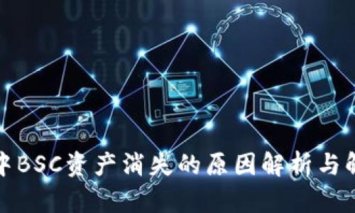 TP钱包中BSC资产消失的原因解析与解决方案