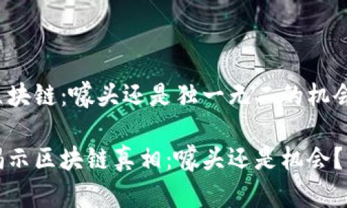 区块链：噱头还是独一无二的机会？

揭示区块链真相：噱头还是机会？