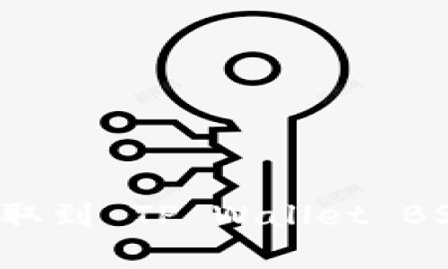 如何将抹茶币（BNB）提取到 TP Wallet BSC：简单易懂的步骤指南