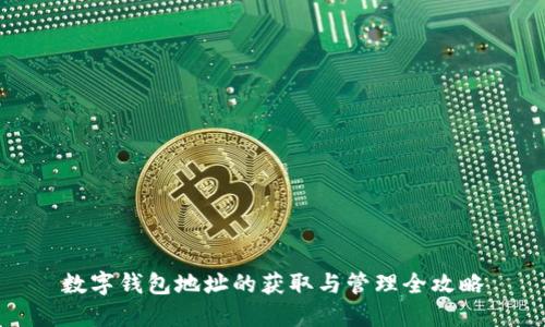 数字钱包地址的获取与管理全攻略