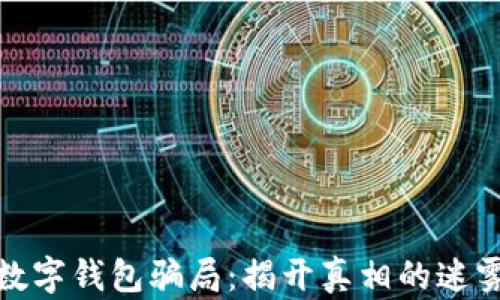
数字钱包骗局：揭开真相的迷雾