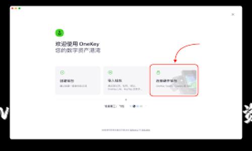 探索元宇宙与TPWallet的奇妙结合:数字资产管理的新维度