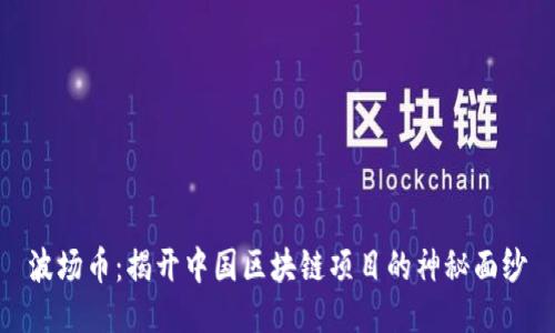 波场币：揭开中国区块链项目的神秘面纱