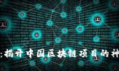 波场币：揭开中国区块链