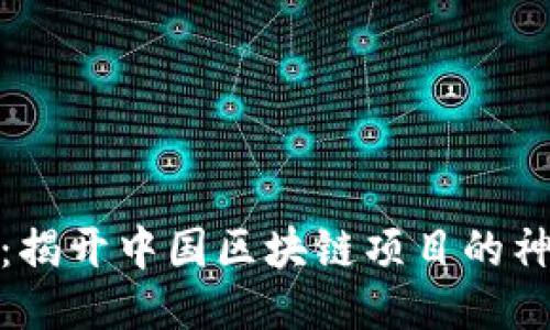 波场币：揭开中国区块链项目的神秘面纱