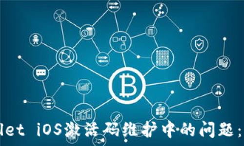 如何解决TPWallet iOS激活码维护中的问题:用户的全面指南