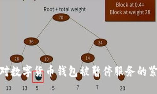 如何应对数字货币钱包被暂停服务的紧急策略