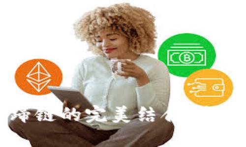 深入探索TPWallet与马蹄链的完美结合：未来数字资产管理的新选择
