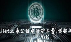 探索TPWallet火币公链中的矿